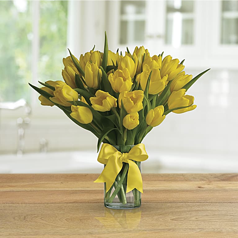 Sunny Yellow Tulips
