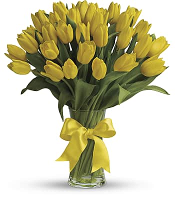 Sunny Yellow Tulips Flowers