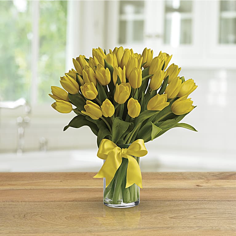 Sunny Yellow Tulips