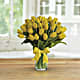 Sunny Yellow Tulips