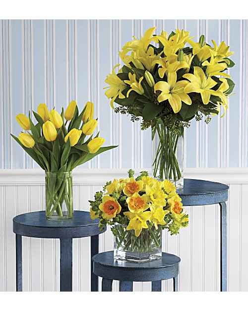 Teleflora'sLilySunshine
