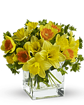 Yellow , Mixed Bouquets , Daffodil Dreams , Same Day Flower Delivery By Teleflora