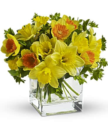 Daffodil Dreams Bouquet Teleflora