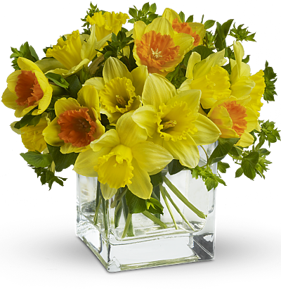 Image result for daffodils bouquet