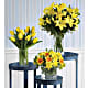Daffodil Dreams