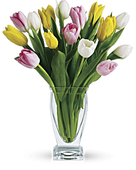 Order Tulip Bouquets| Vibrant Flower Arrangements Of Tulips | Teleflora