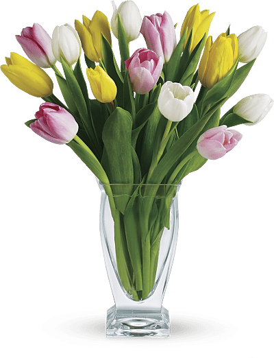 Symbolic Meaning Of The Tulip Teleflora