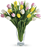 Teleflora's Tulip Treasure PM Flowers