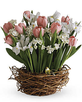 Tulip Song Basket Arrangement