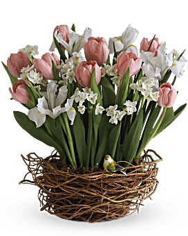 Arreglo de canasta de tulipán