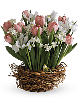 Flowers Of The World, Toronto Florist, Same Day Flower Delivery Toronto