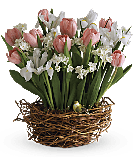 Tulip Song Basket Arrangement Teleflora