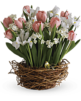 Arrangement floral Panier de chansons de tulipes