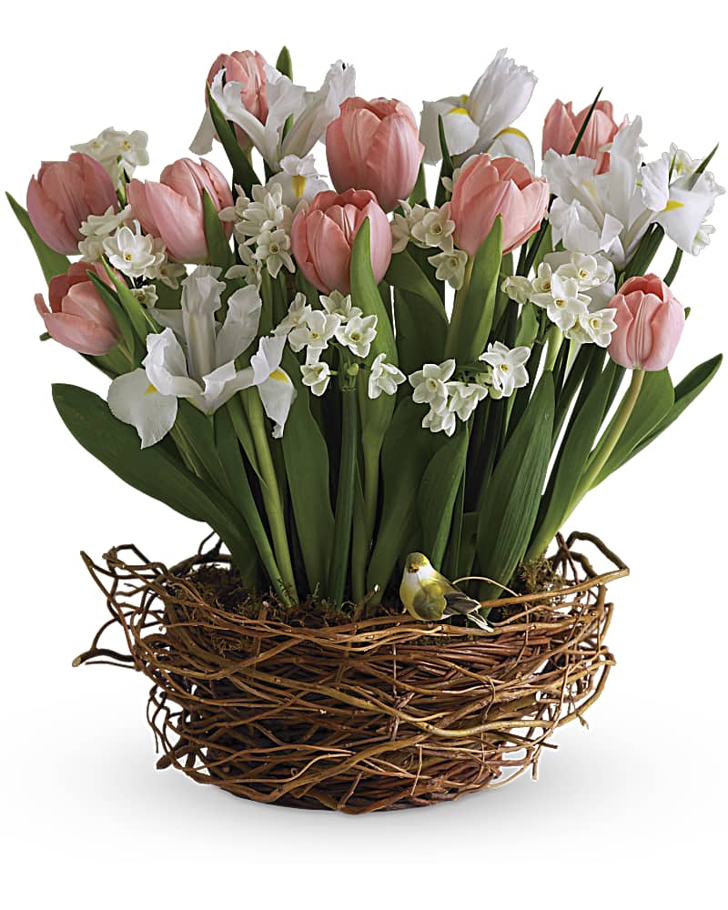 Tulip Song Basket Arrangement Teleflora