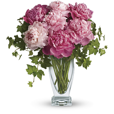 Teleflora's Perfect Peonies