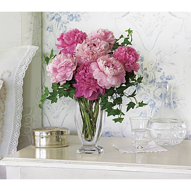Perfect Peonies