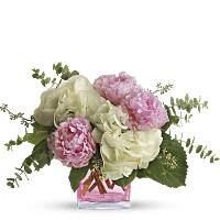 Shop for Peonies