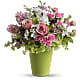 Enchanted Blooms