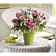 Enchanted Blooms