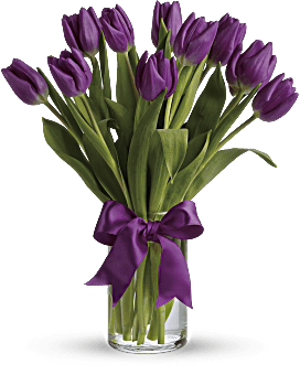 Passionate Purple Tulips