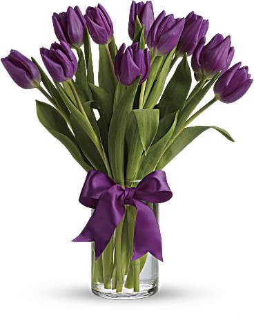 Tulipes violettes captivantes