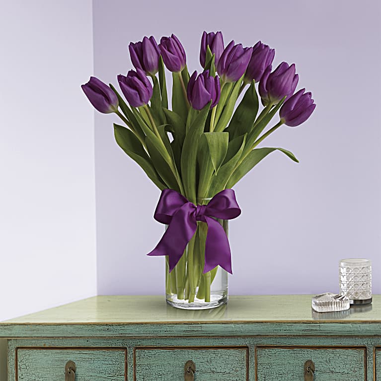 Passionate Purple Tulips