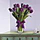 Passionate Purple Tulips