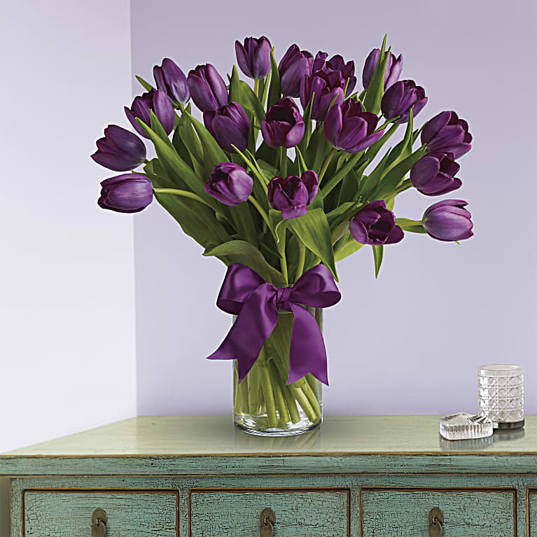 Passionate Purple Tulips