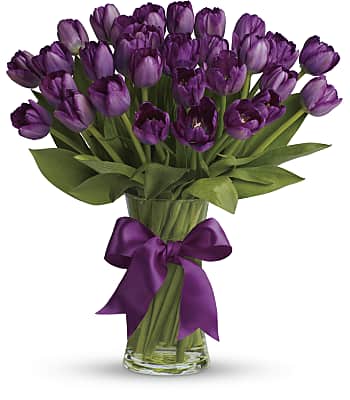 Passionate Purple Tulips Flowers
