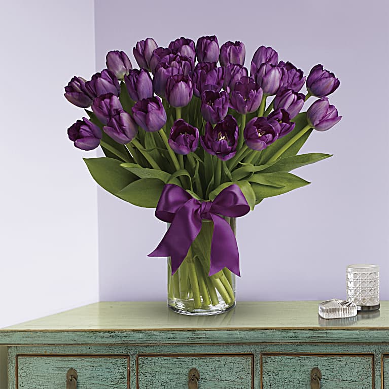 Passionate Purple Tulips