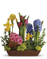 Spring Favorites