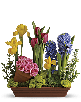 Arrangement floral Préférés du printemps