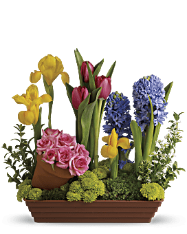 Punch Of Color Bouquet - Teleflora