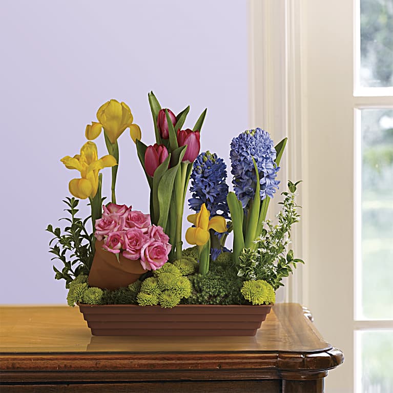 Spring Favorites