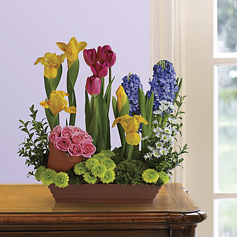 Spring Favorites