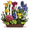 Spring Favorites Flower Arrangement - Teleflora