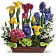 Spring Favorites
