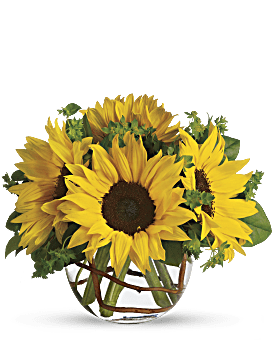 Yellow , Sunny Sunflowers , Same Day Flower Delivery By Teleflora