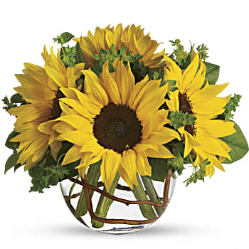 Sunny Sunflowers