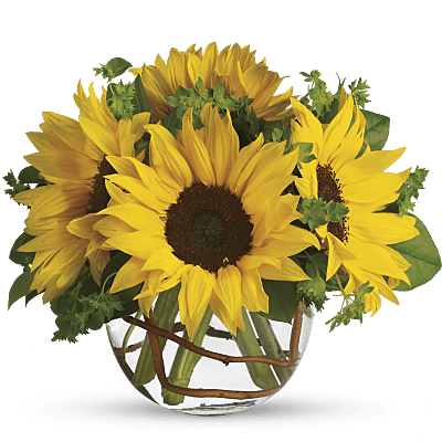 Sunny Sunflowers