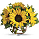 Sunny Sunflowers