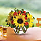 Sunny Sunflowers
