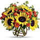 Sunny Sunflowers