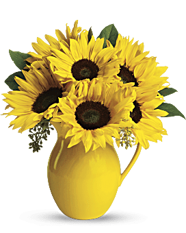 Multi-Colored | Sunny Day Pitcher Of Sunflowers Bouquet | Same Day Flower Delivery by Teleflora