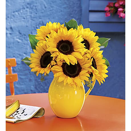 Teleflora's Sunny Day Pitcher of Sunflowers - Teleflora