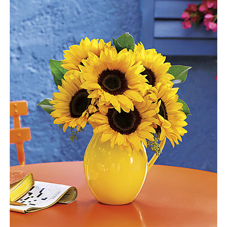 Sunny Day Pitcher of Sunflowers