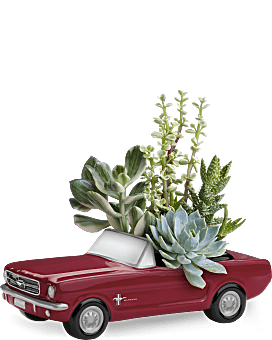 Dream Wheels '65 Ford Mustang by Teleflora Plant