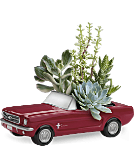 Plante Roues de rêve Ford Mustang 65 de Téléflora