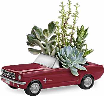 Dream Wheels '65 Ford Mustang by Teleflora