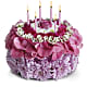 Your Special Day